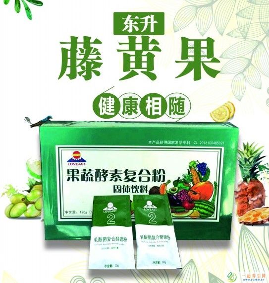 东升伟业——果蔬酵素复合粉（东升藤黄果）